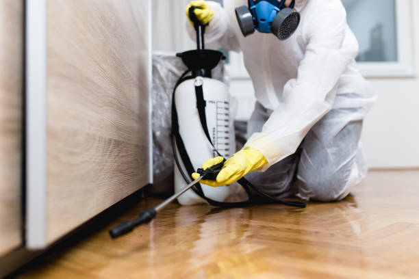 Best Pest Removal Services  in Mantua, UT