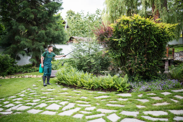 Best Ant Control Services  in Mantua, UT