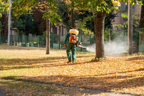 Reliable Mantua, UT Pest Control Solutions